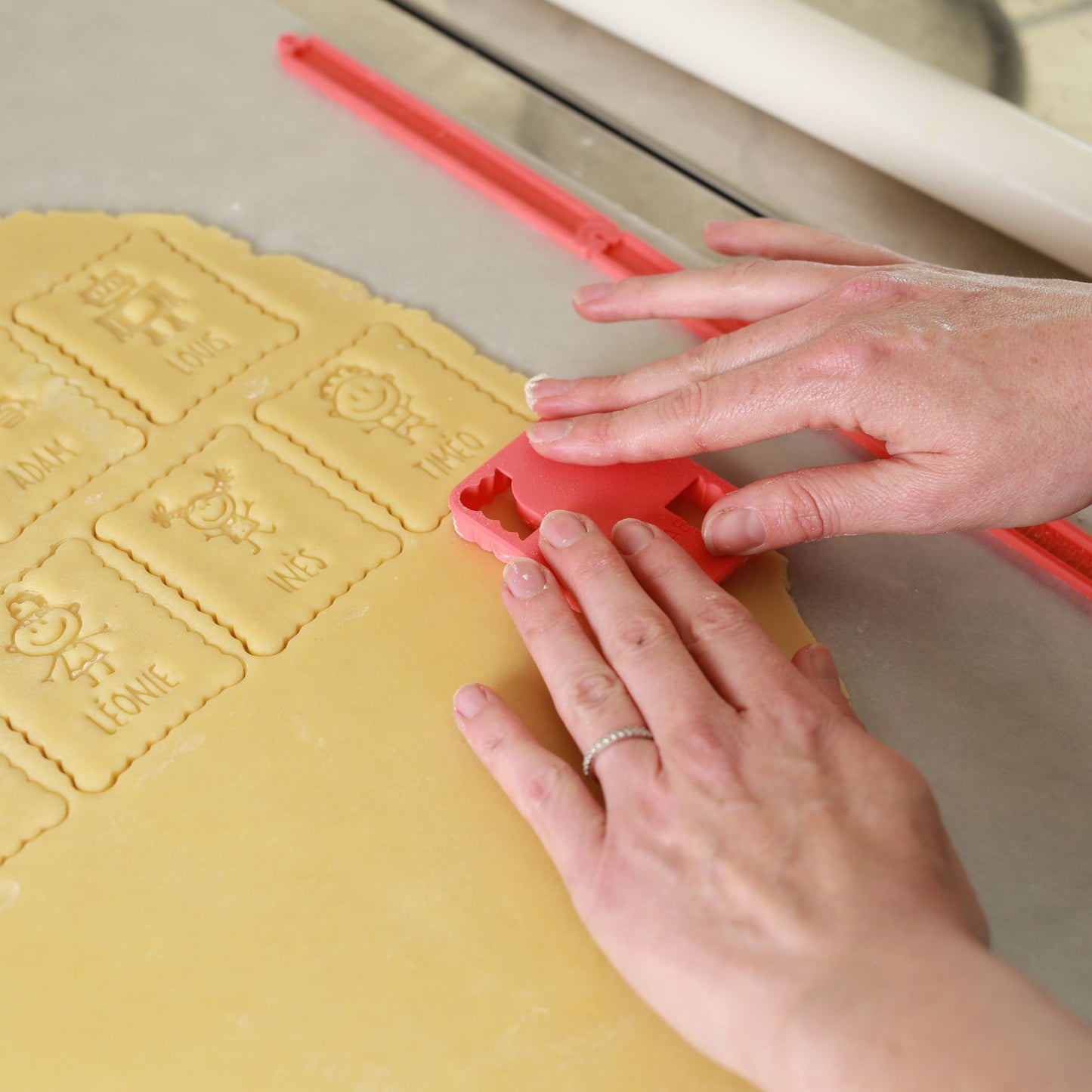 Emporte-pièce insecte