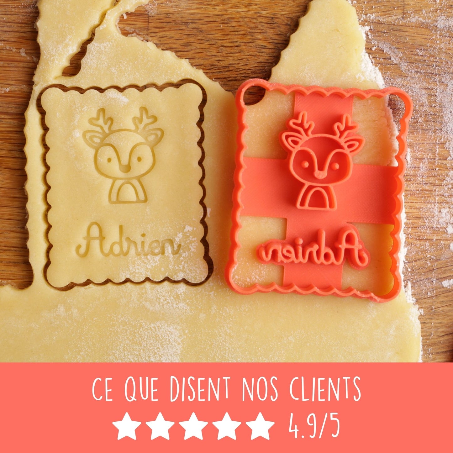 Animaux de la Forêt