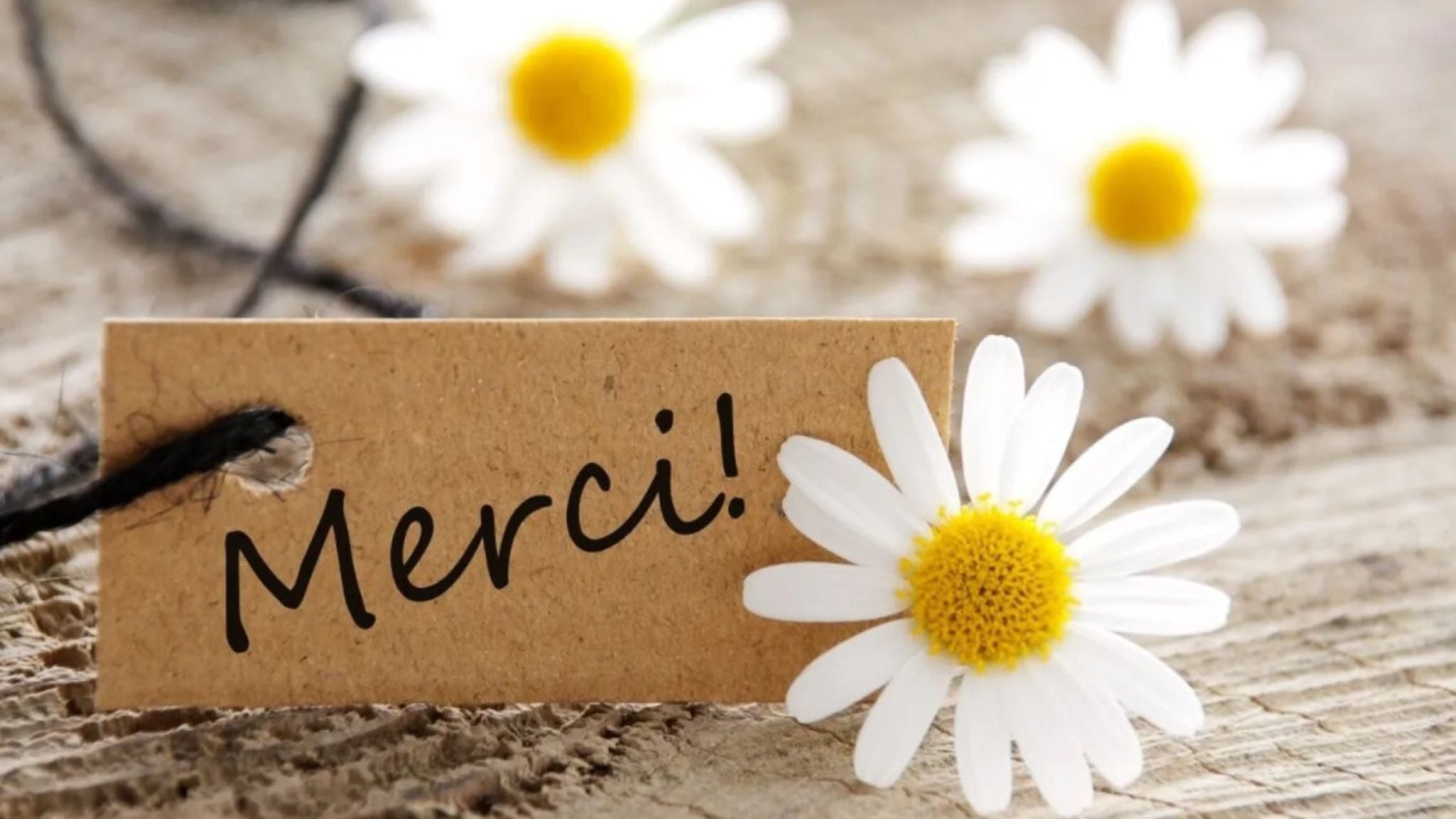 Petits Messages (Merci, Bravo)