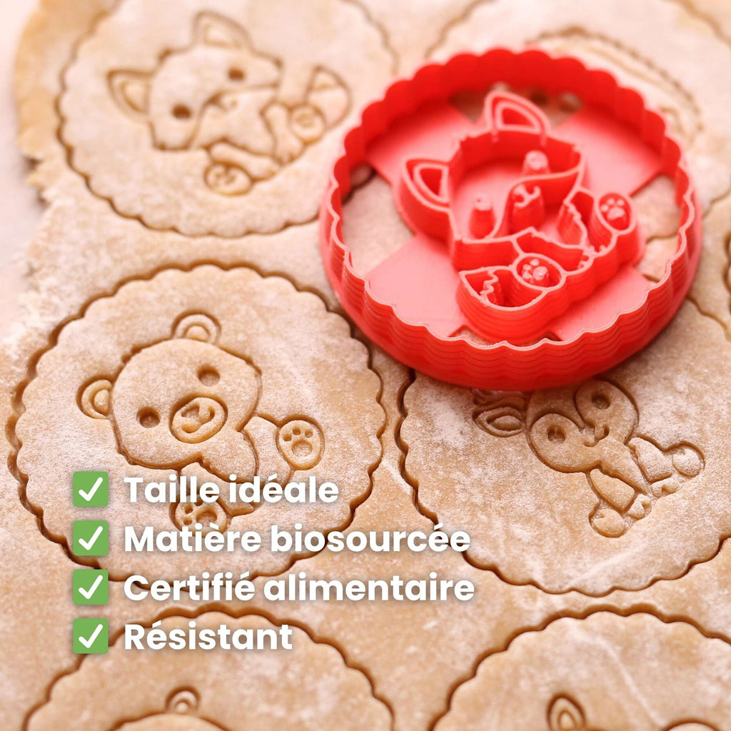 Kit Animaux de la Forêt – Ecureuil, Hibou & Raton Laveur 🦉