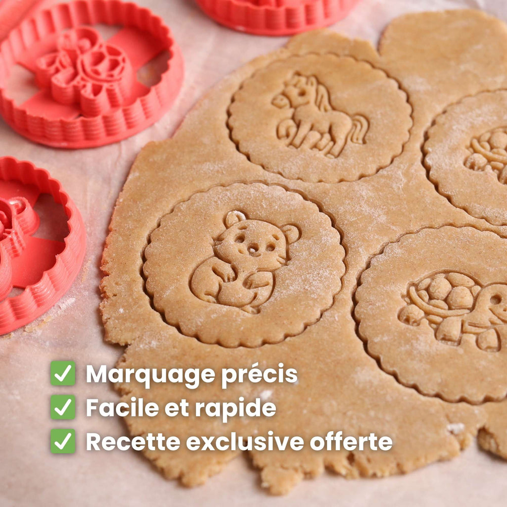 Kit Animaux : Cheval, Tortue et Hamster