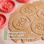 Kit Animaux : Cheval, Tortue et Hamster