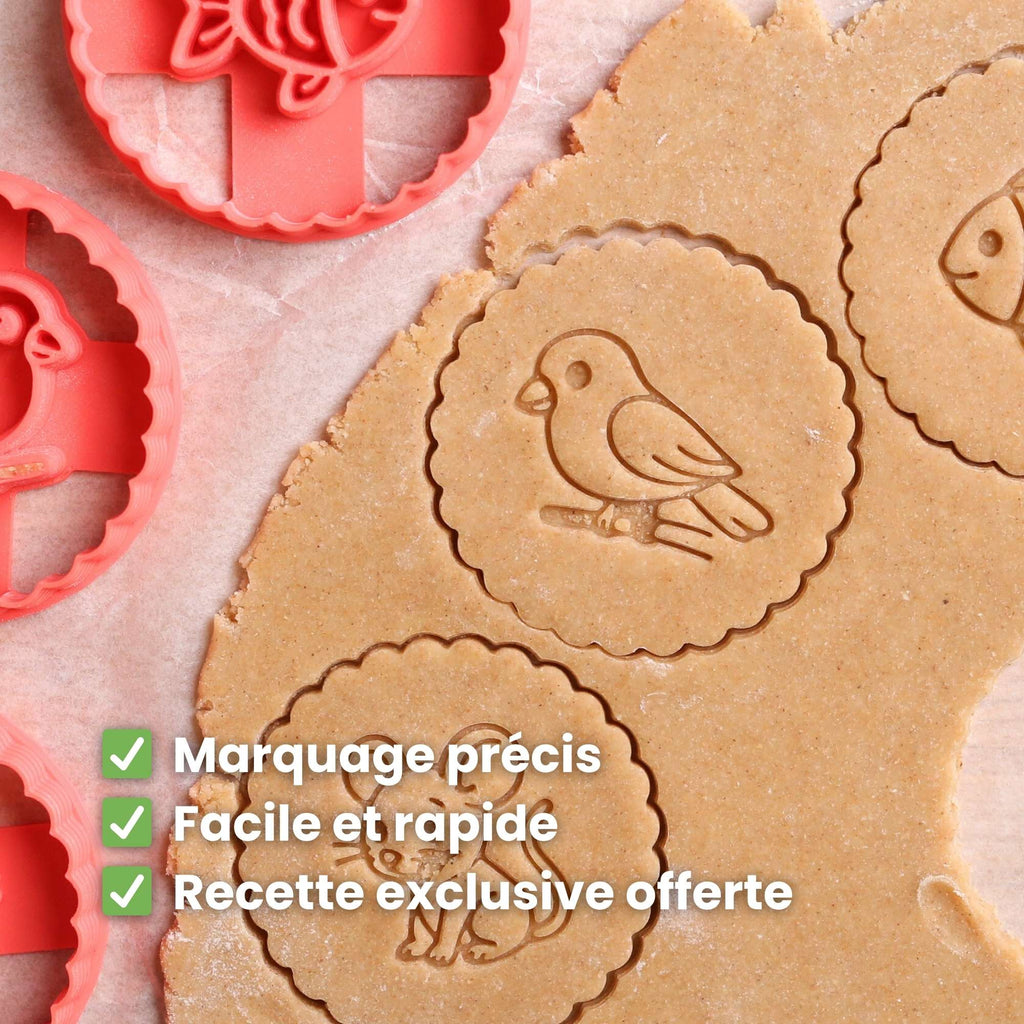 Kit Animaux - Souris, Poisson et Oiseau