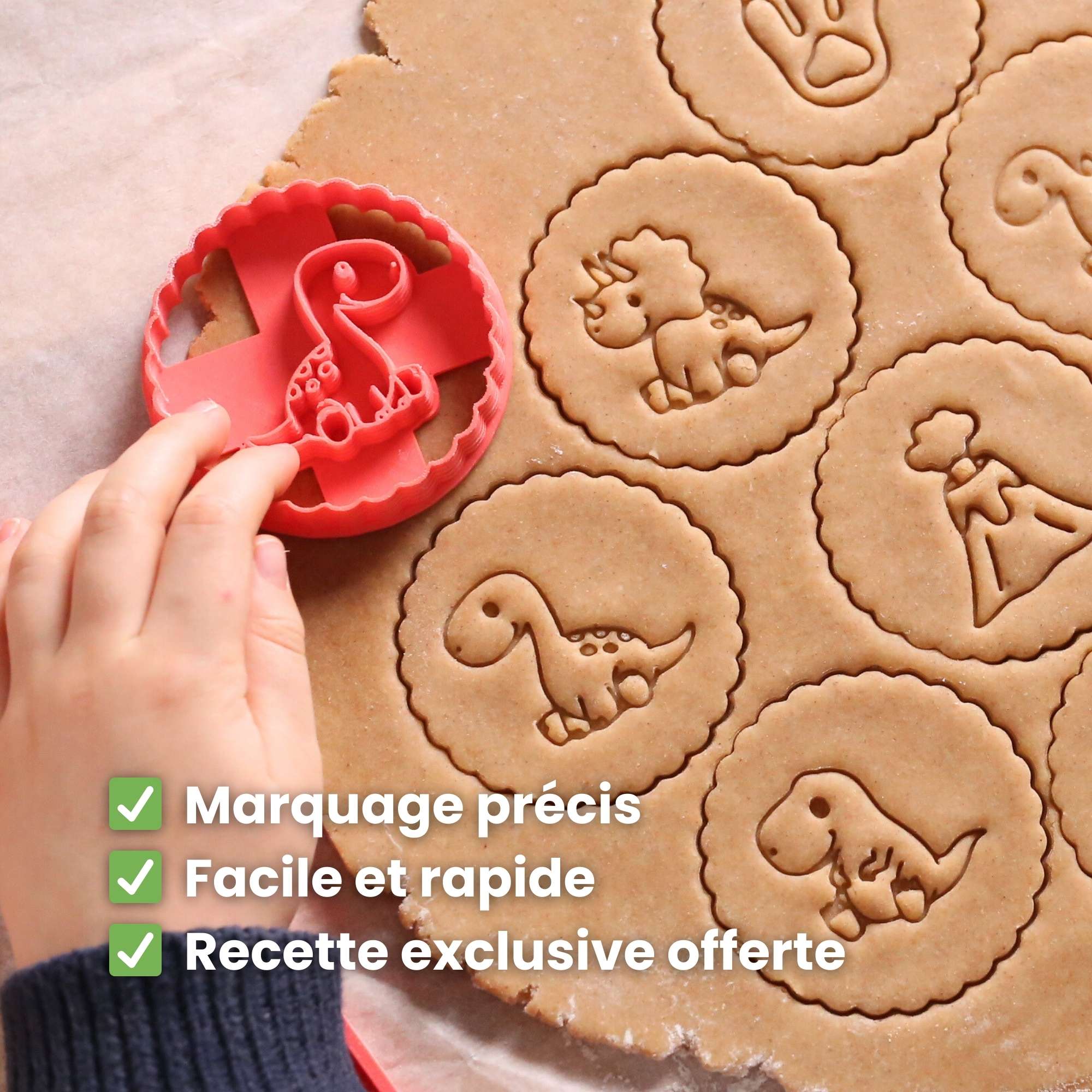 Kit Dinosaure - Tyrannosaure, Trace & Volcan 🦖