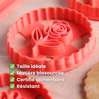 Kit Fleurs - Tulipe, Jonquille et Aster