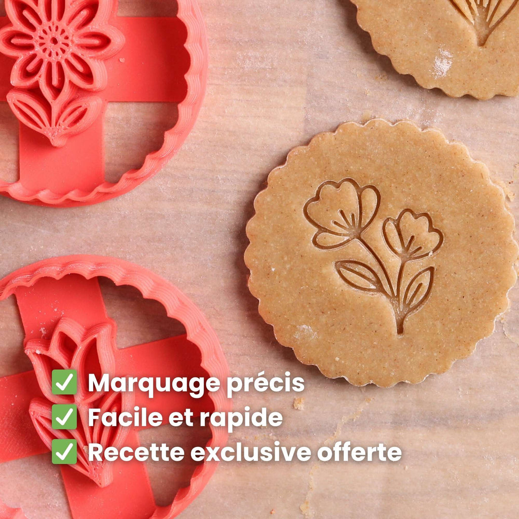 Kit Fleurs - Tulipe, Jonquille et Aster