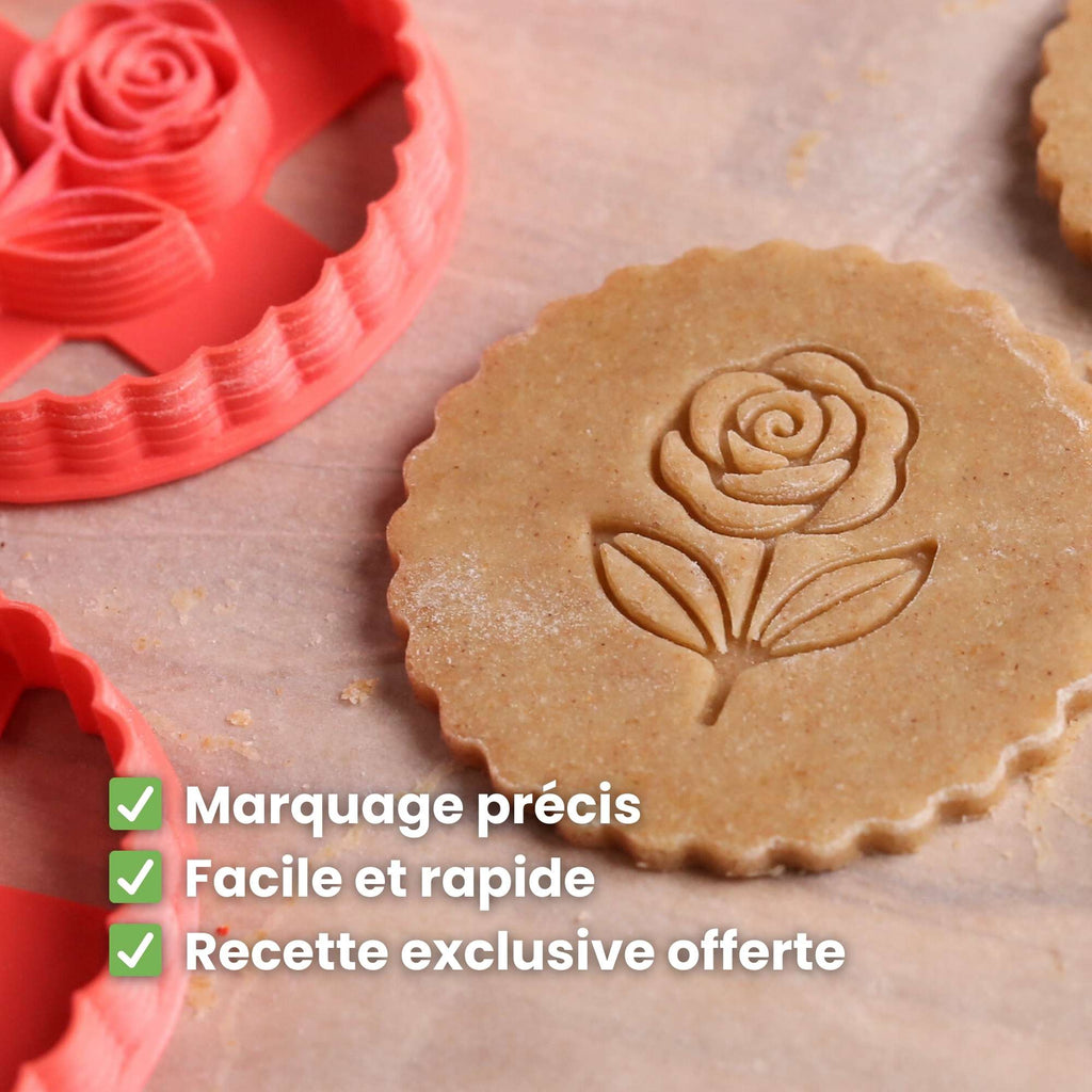 Kit Fleurs - Rose, Marguerite et Anémone