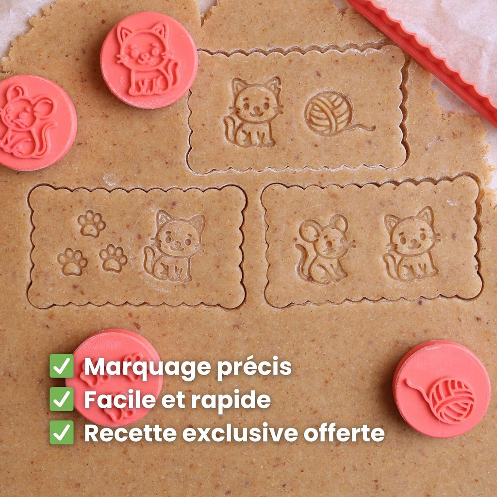 Kit Animaux : L'histoire des Petits Amis des Félins