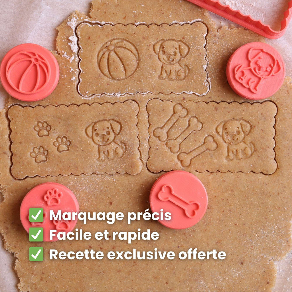 Kit Animaux : L'histoire des Petits Maîtres