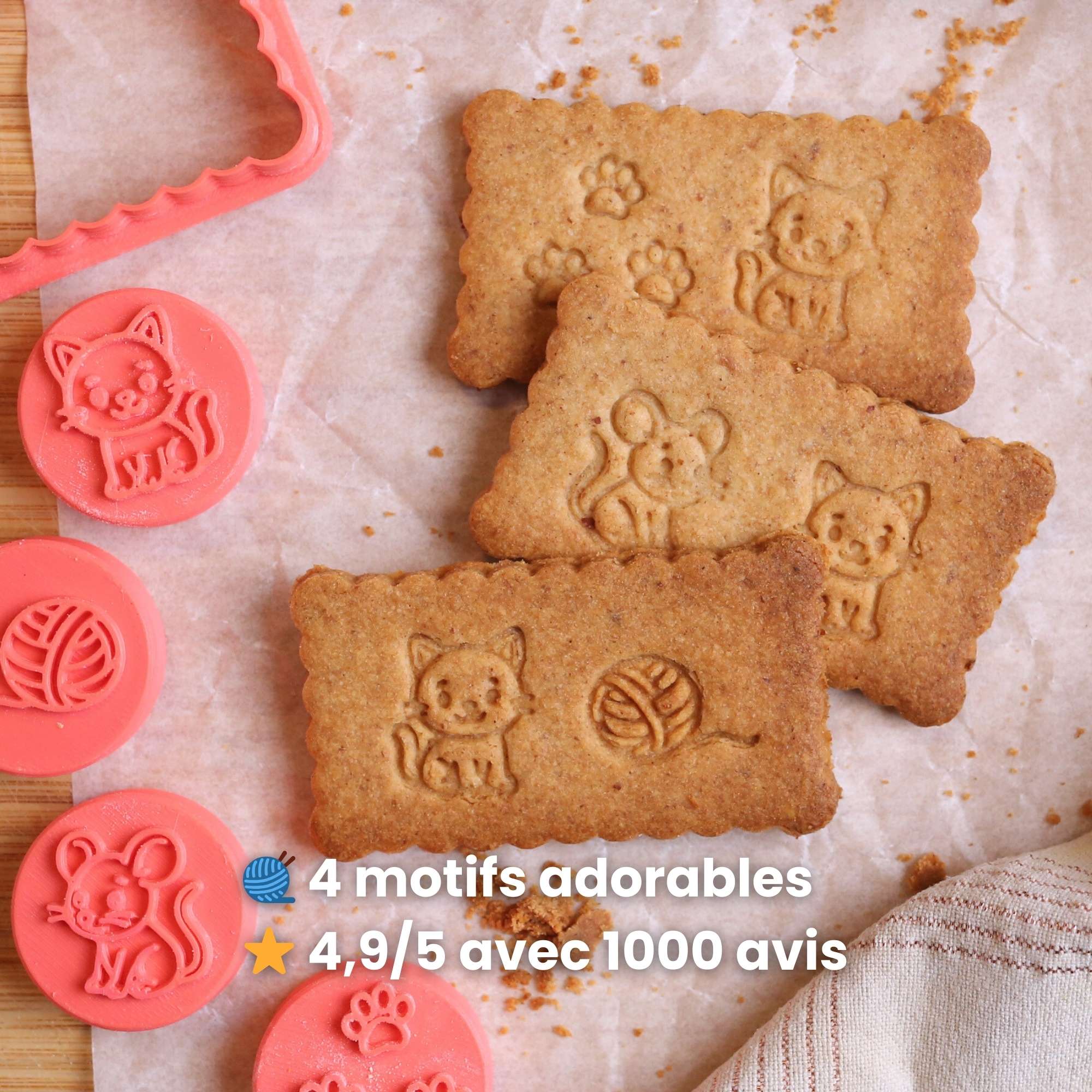 Kit Animaux : L'histoire des Petits Amis des Félins