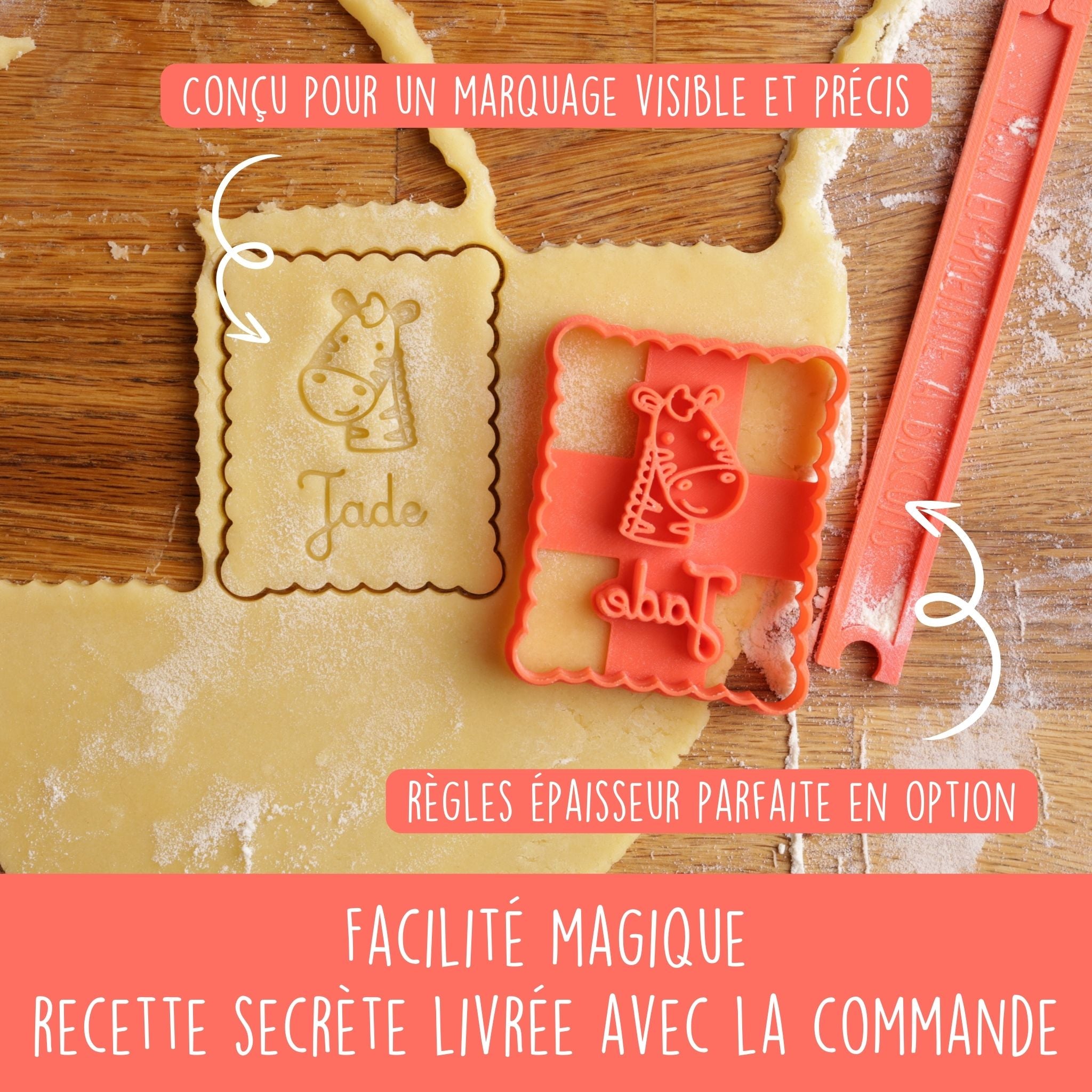 Animaux de la Jungle