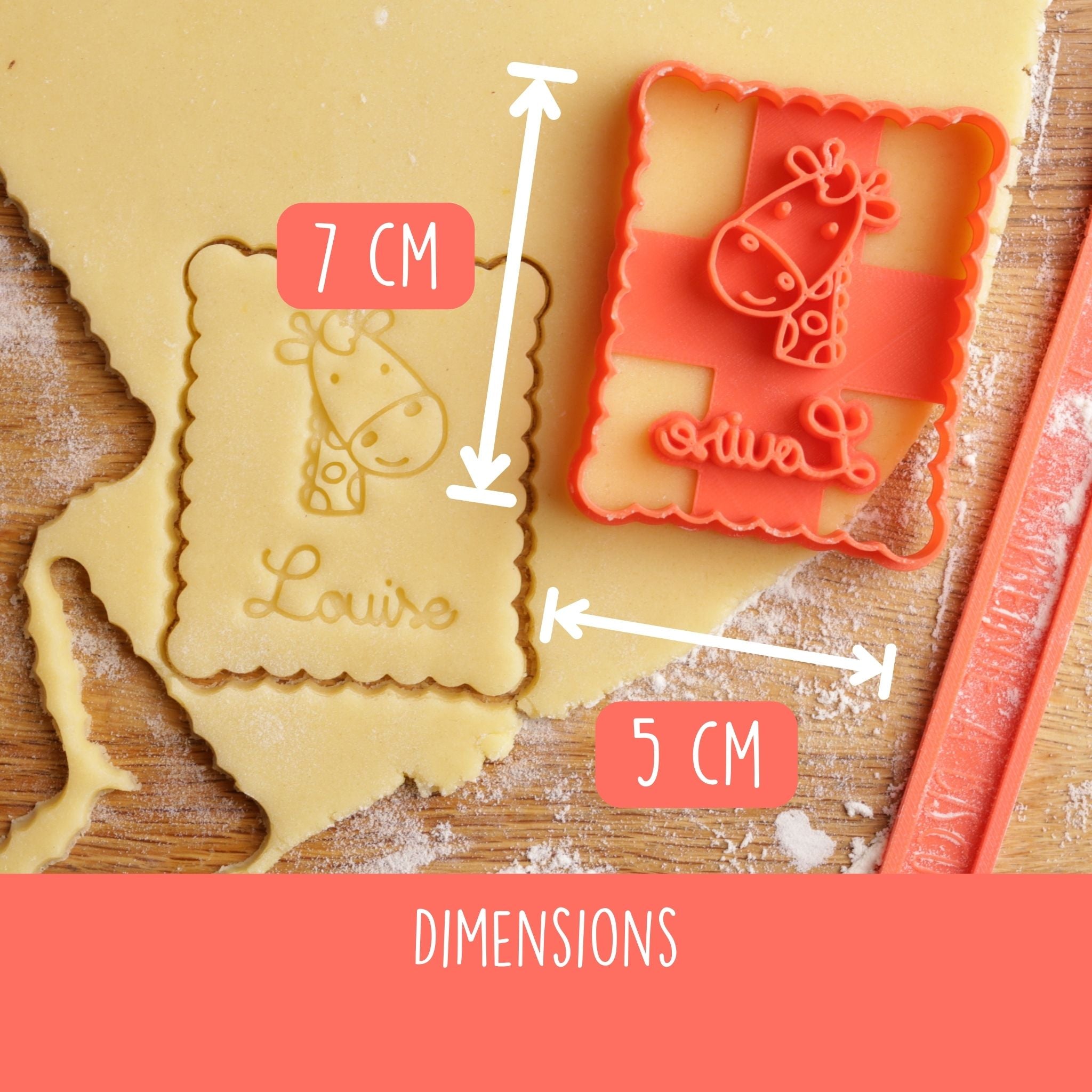 Animaux de la Jungle