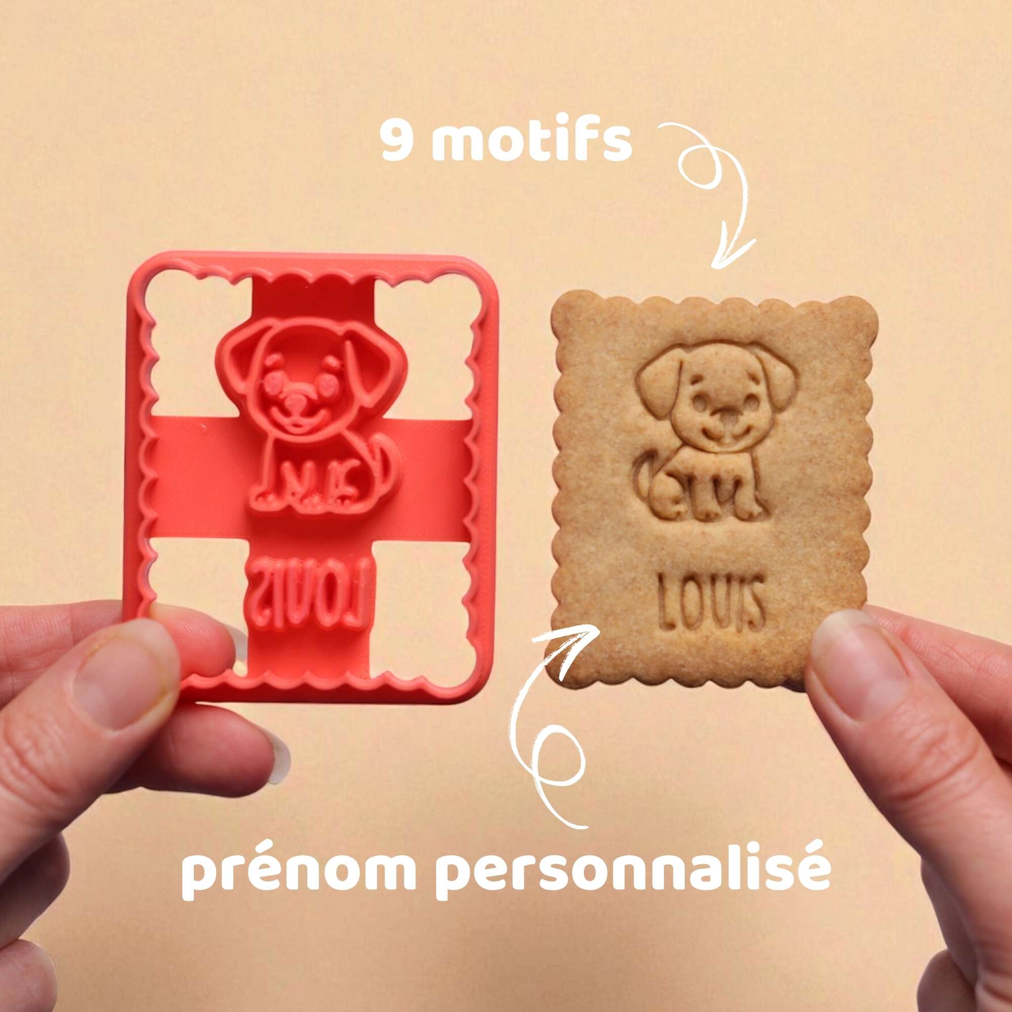 Animaux domestiques personnalisés