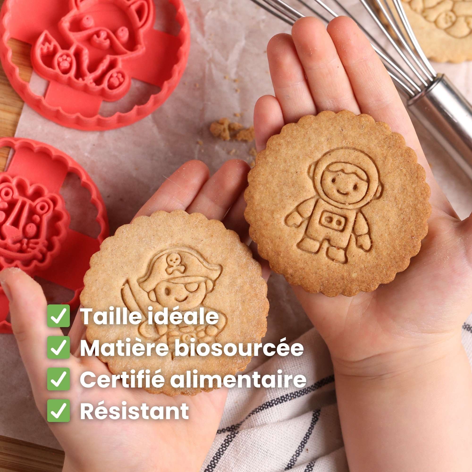 Kit Animaux - Chien, Chat et Lapin