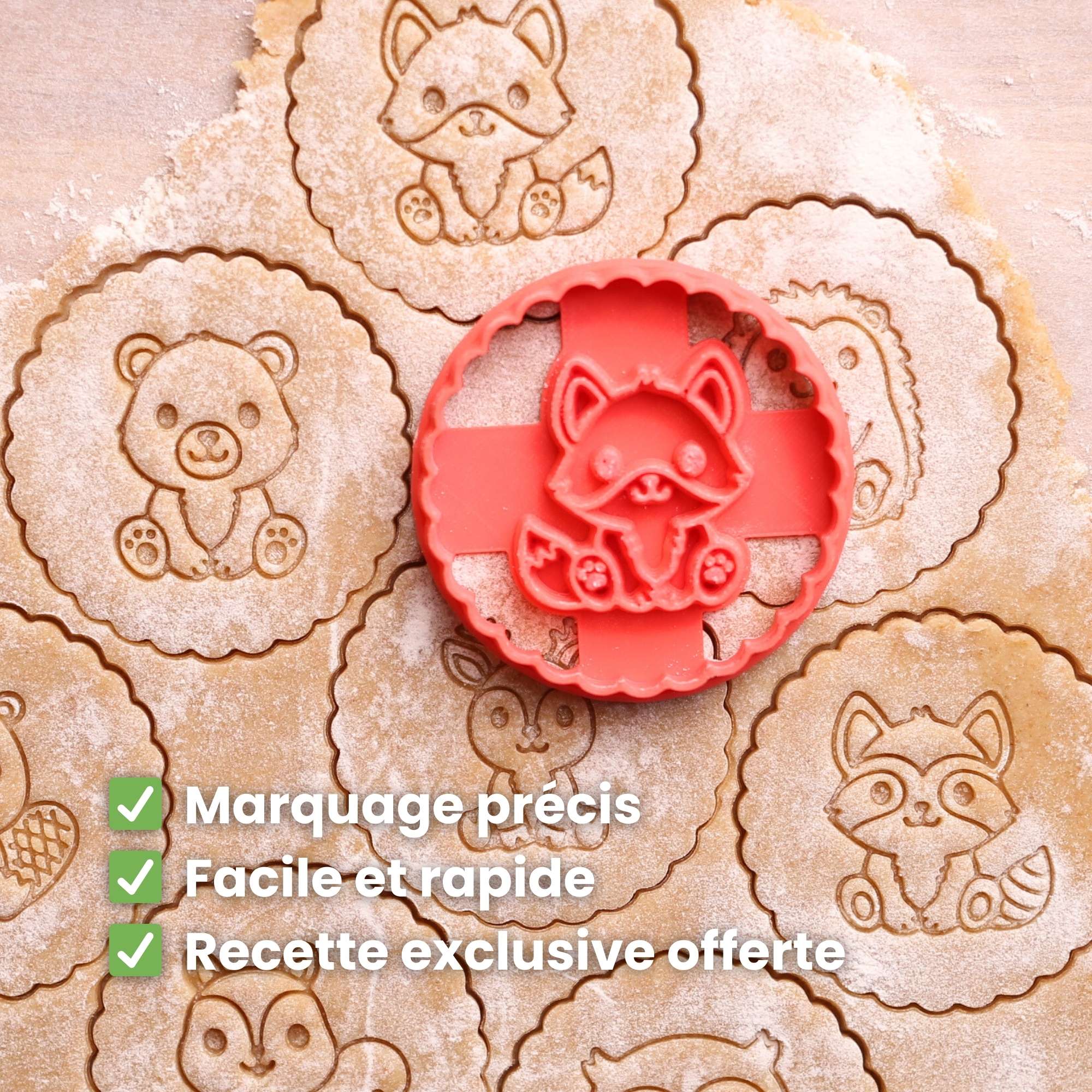 Kit Animaux de la Forêt – Ecureuil, Hibou & Raton Laveur 🦉