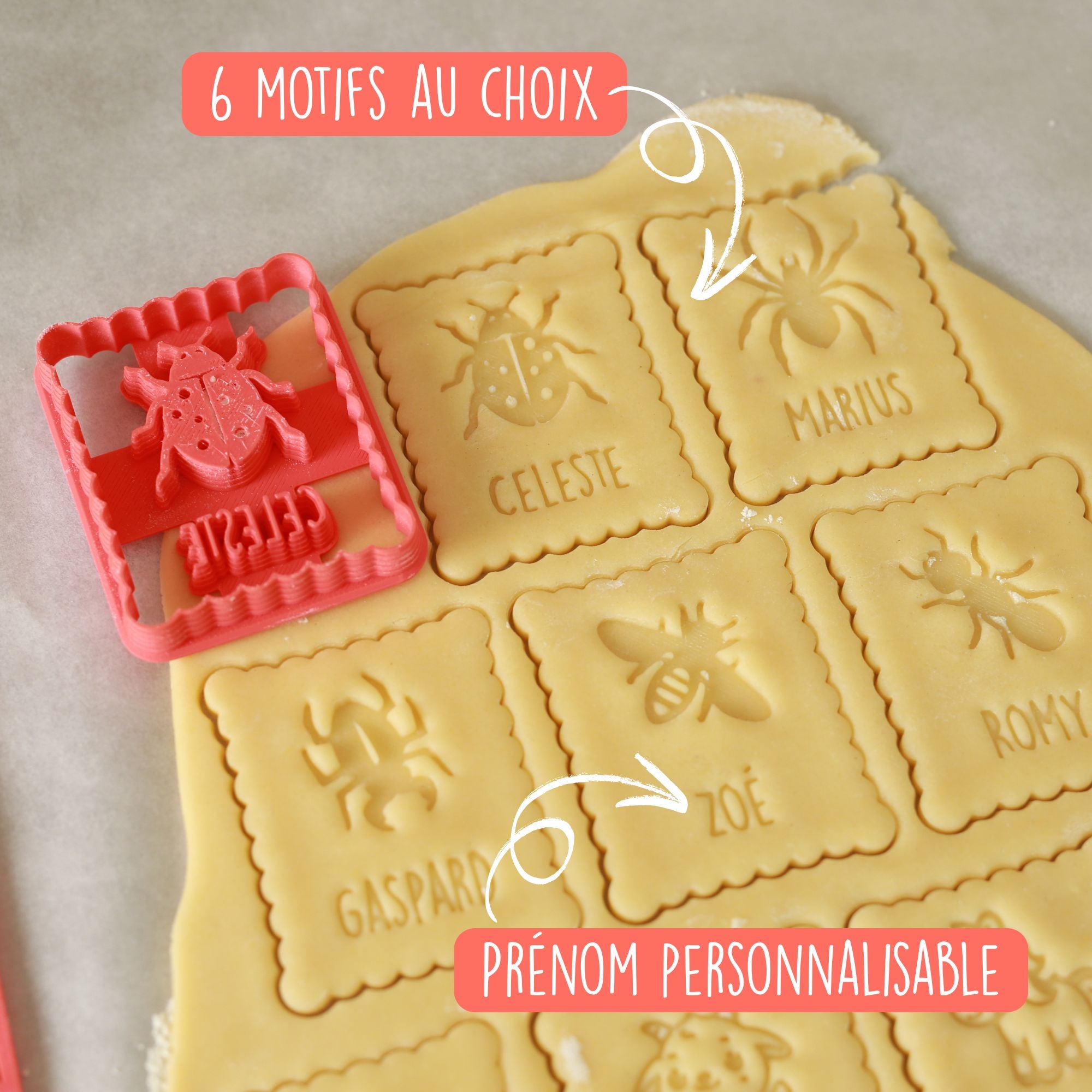 Emporte-pièce insecte