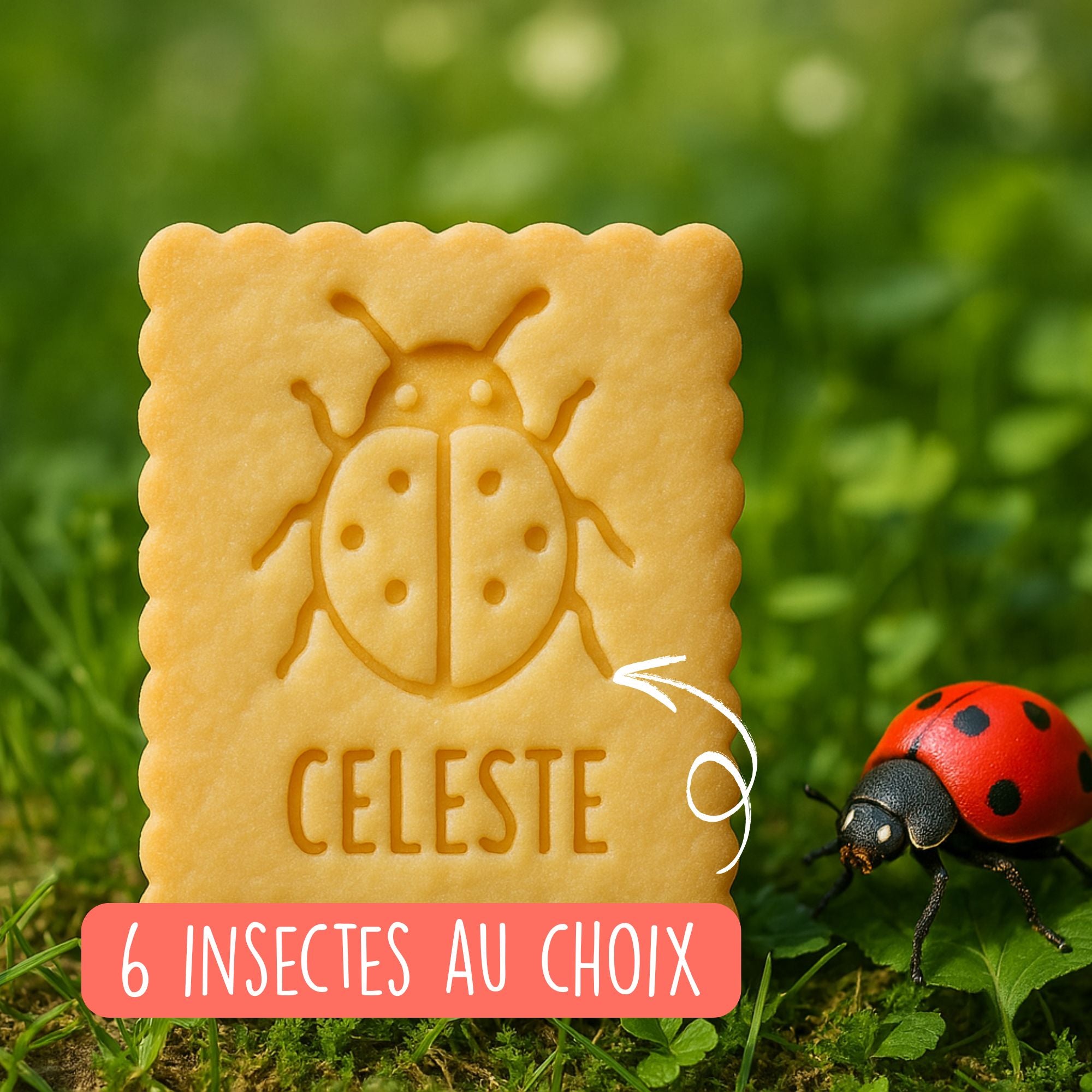 Emporte-pièce insecte