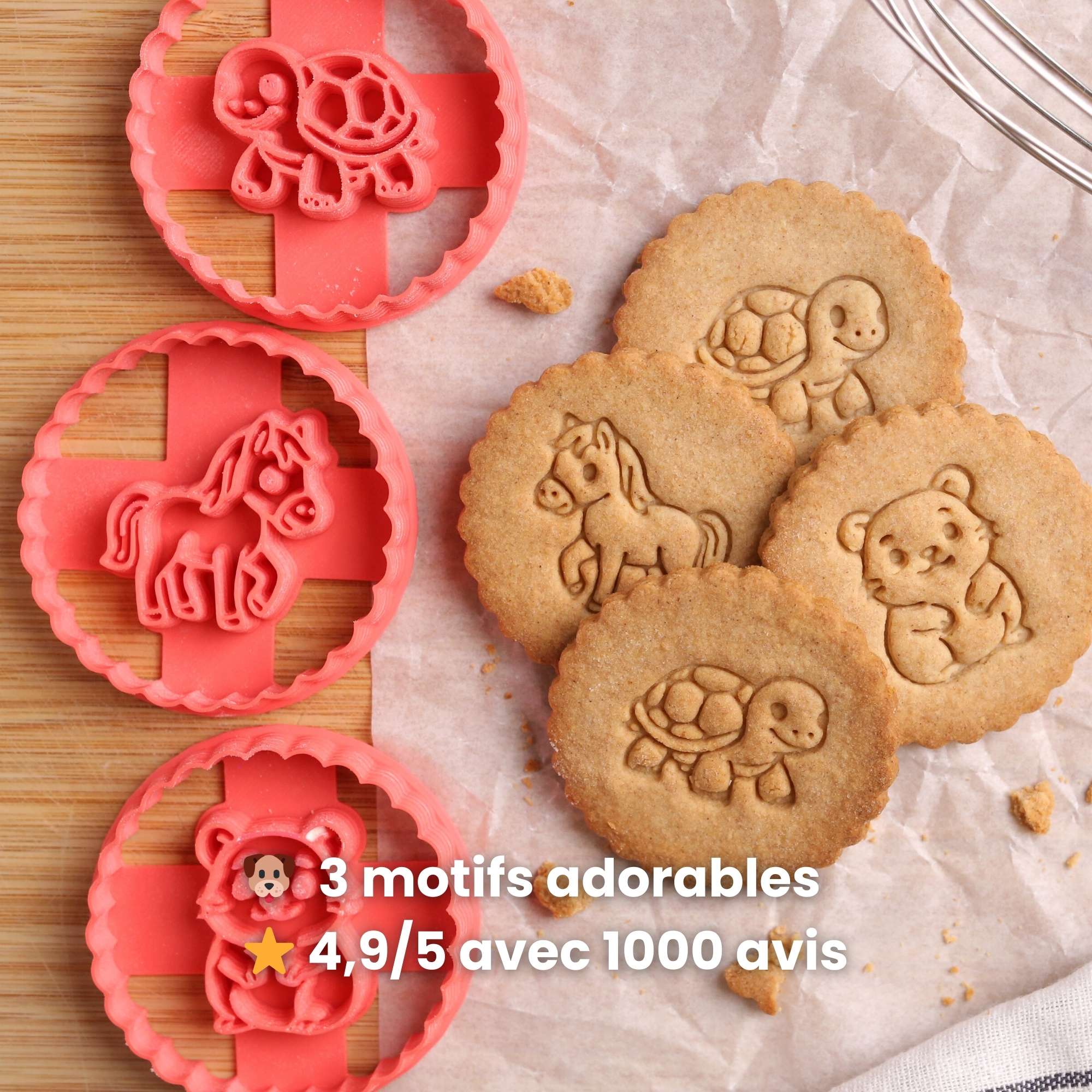 Kit Animaux : Cheval, Tortue et Hamster