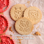 Kit Animaux de la Forêt – Ecureuil, Hibou & Raton Laveur 🦉