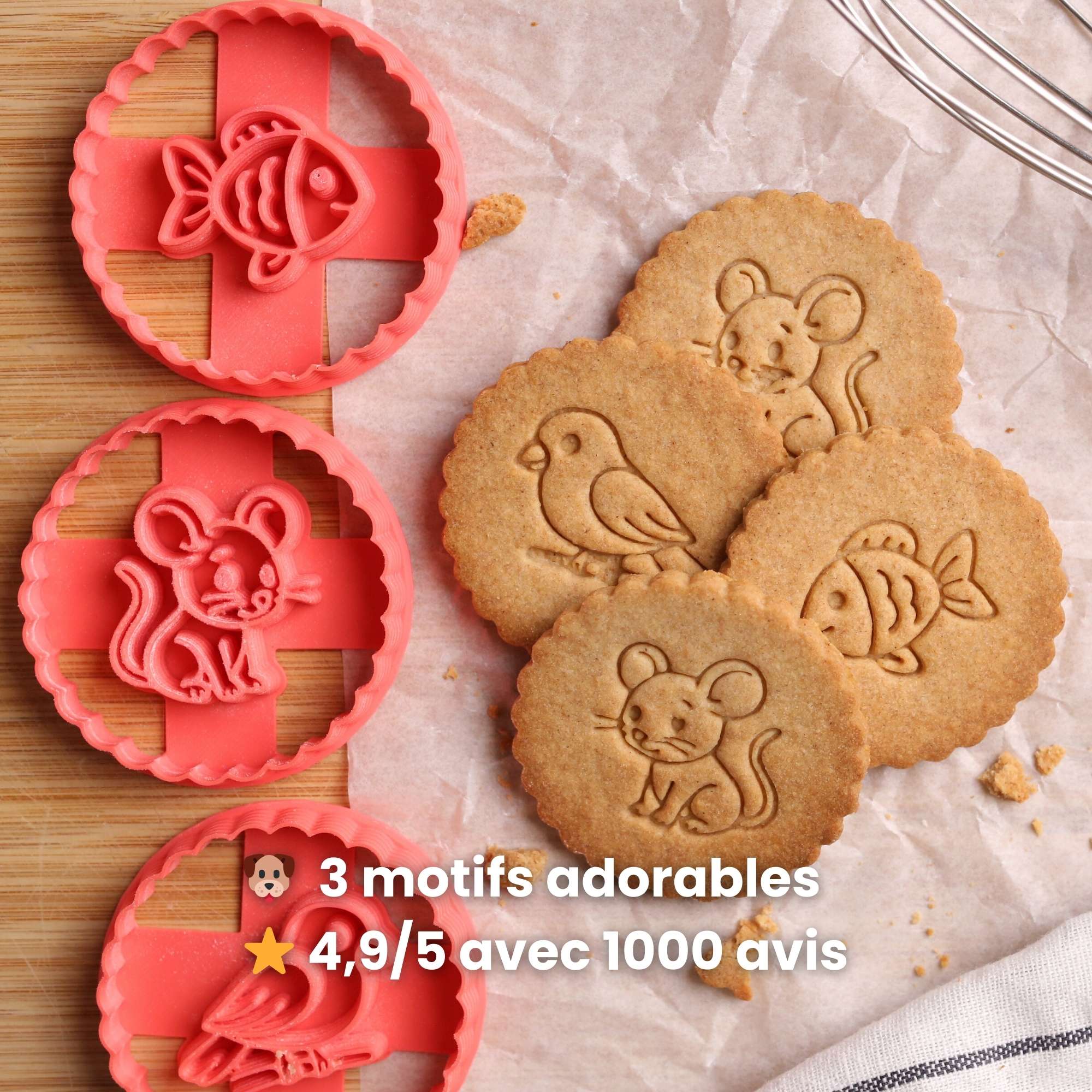 Kit Animaux - Souris, Poisson et Oiseau