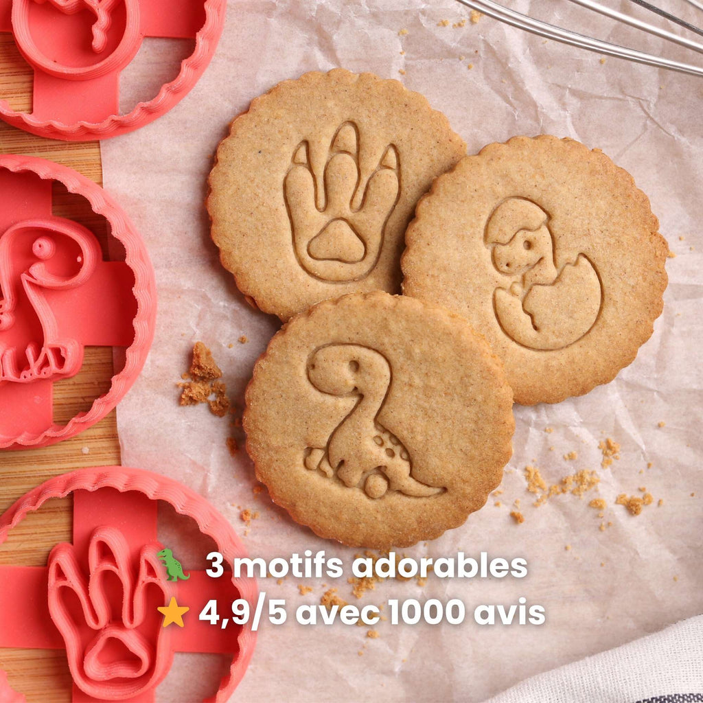 Kit Dinosaure - Diplodocus, Trace & Oeuf 🦕