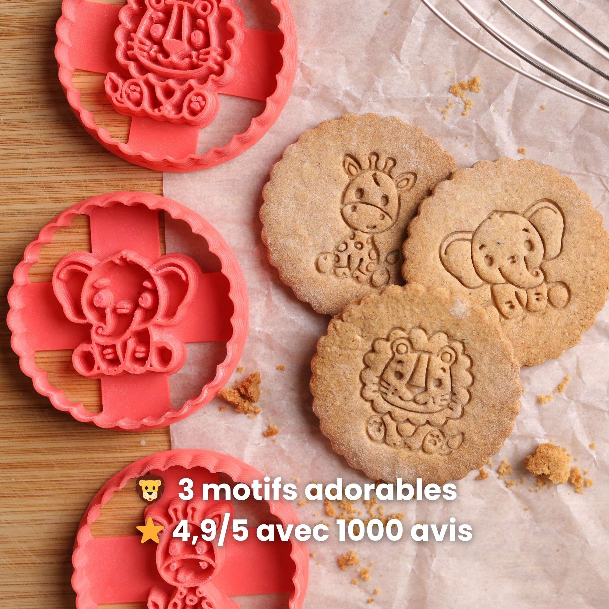 Kit Savane - Lion, Eléphant et Girafe