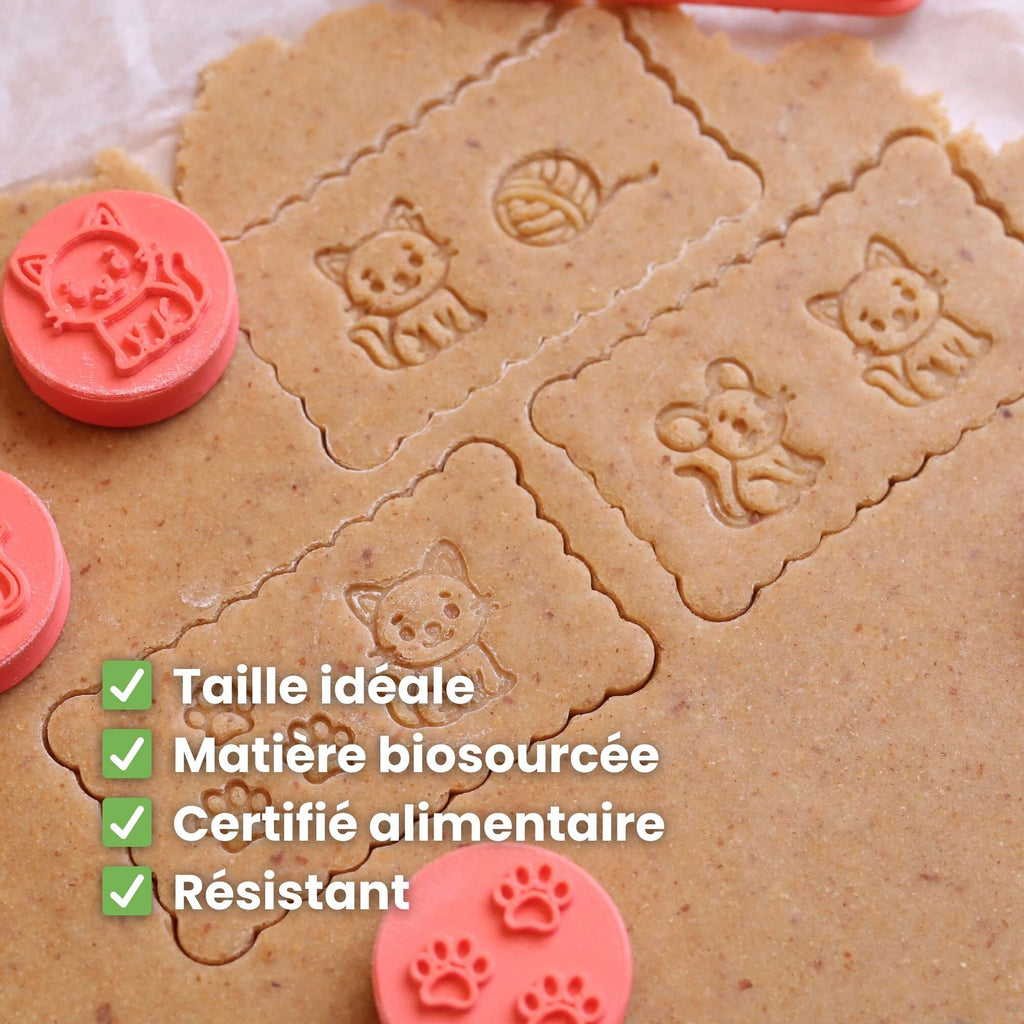 Kit Animaux : L'histoire des Petits Amis des Félins