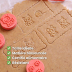 Kit Animaux : L'histoire des Petits Amis des Félins