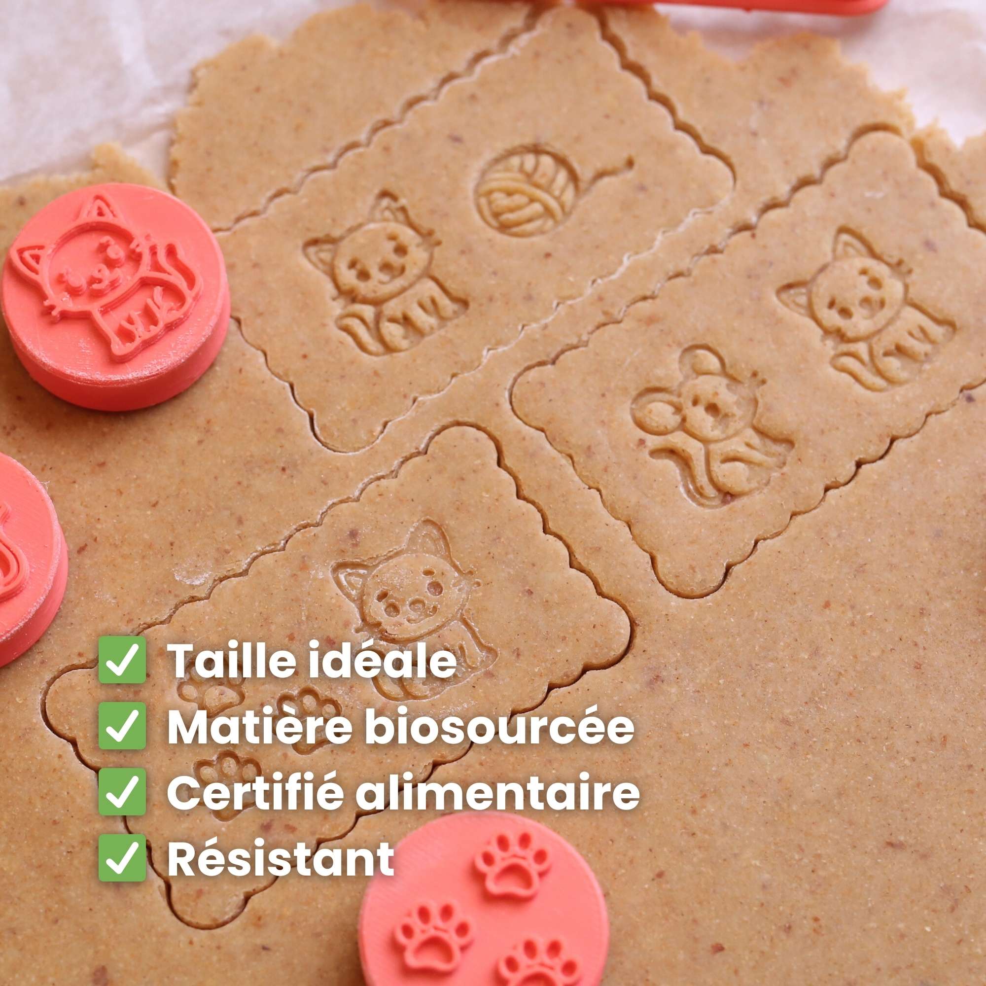 Kit Animaux : L'histoire des Petits Amis des Félins