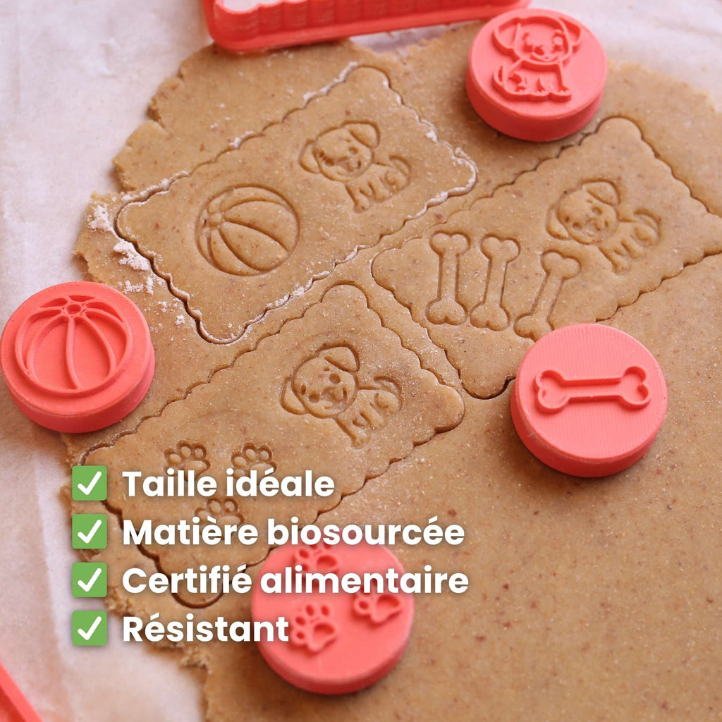 Kit Animaux : L'histoire des Petits Maîtres