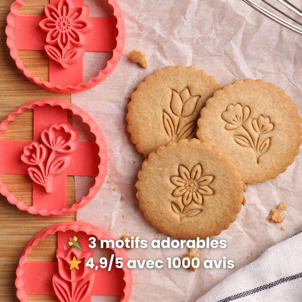 Kit Fleurs - Tulipe, Jonquille et Aster