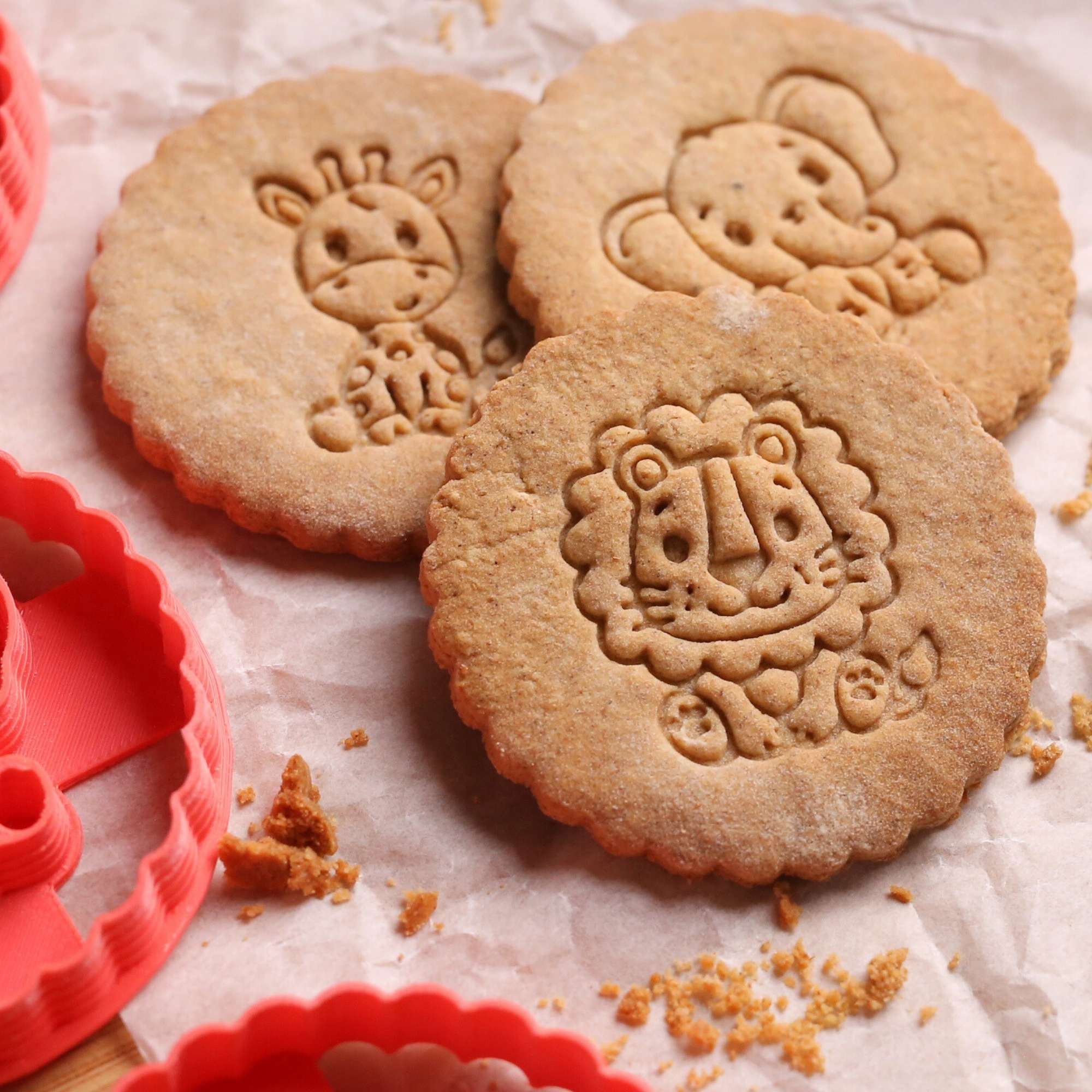 Kit Savane - Lion, Eléphant et Girafe