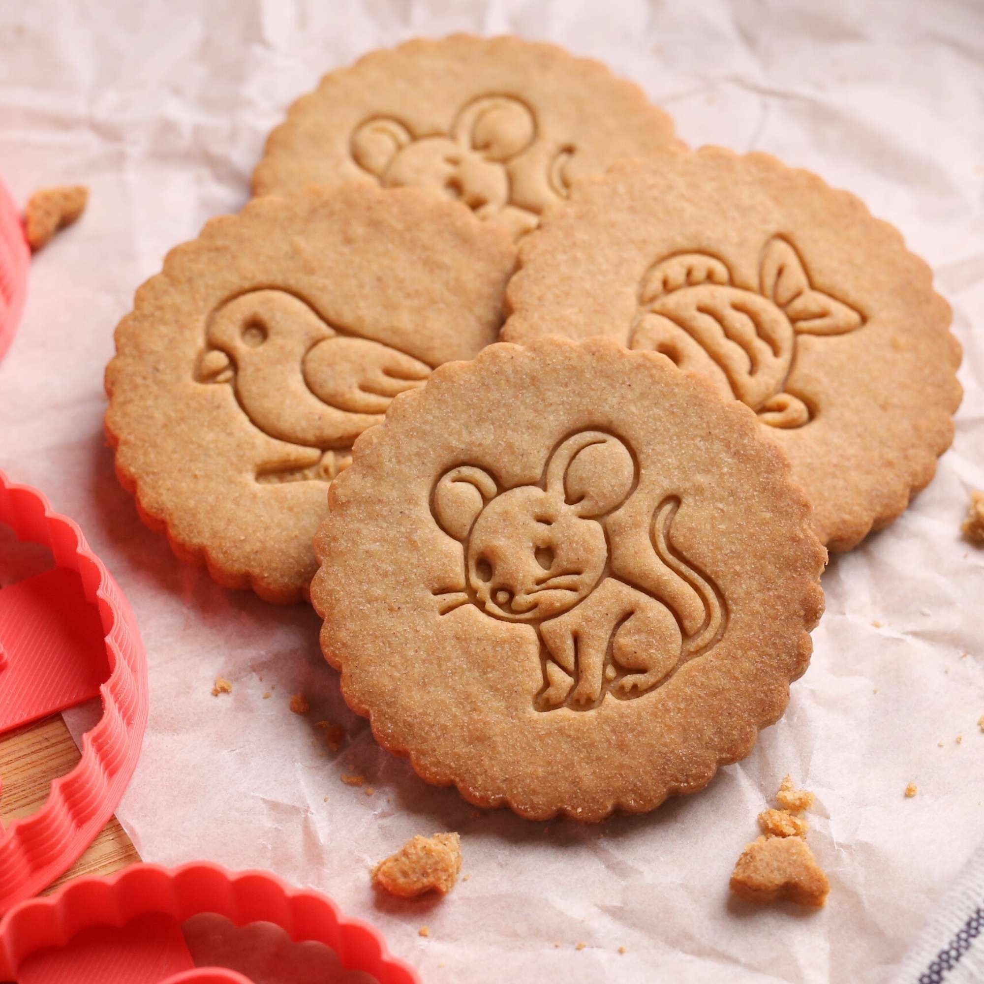 Kit Animaux - Souris, Poisson et Oiseau