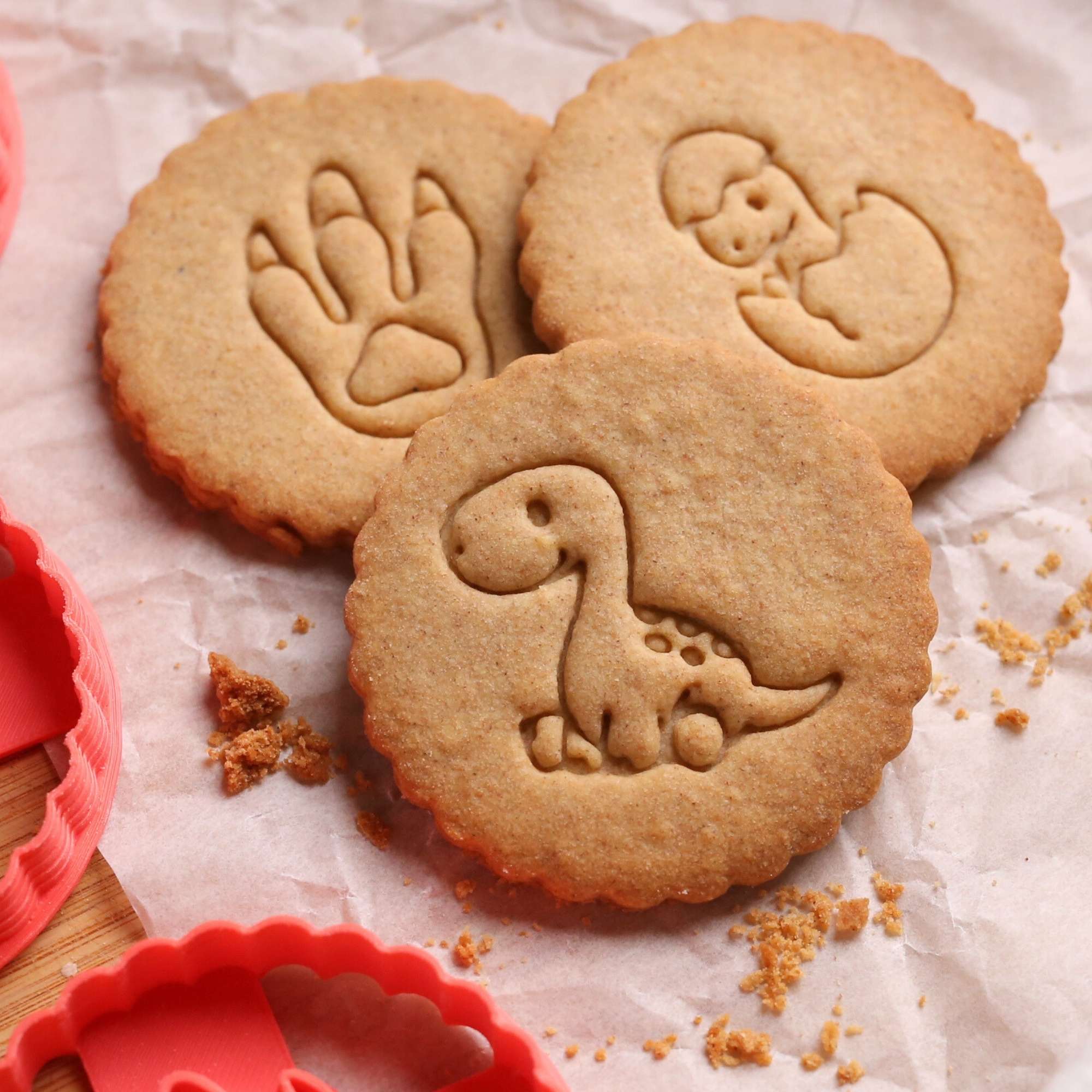 Kit Dinosaure - Diplodocus, Trace & Oeuf 🦕