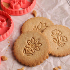 Kit Fleurs - Tulipe, Jonquille et Aster