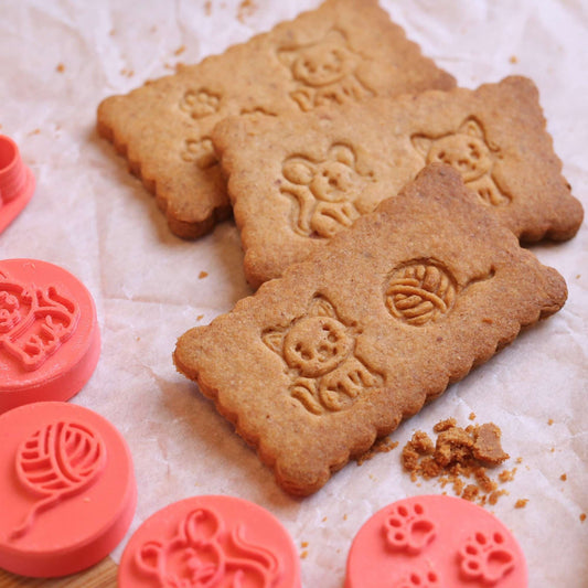 Kit Animaux : L'histoire des Petits Amis des Félins