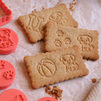 Kit Animaux : L'histoire des Petits Maîtres