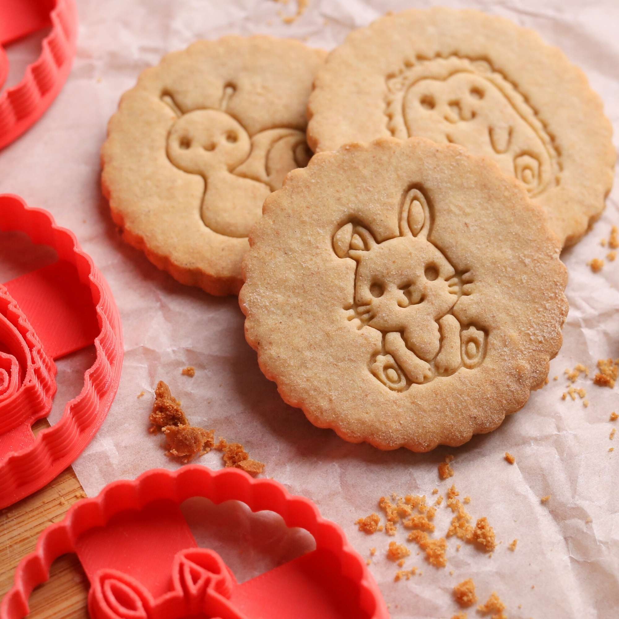 Kit Animaux de la Forêt – Lapin, Hérisson & Escargot 🐰