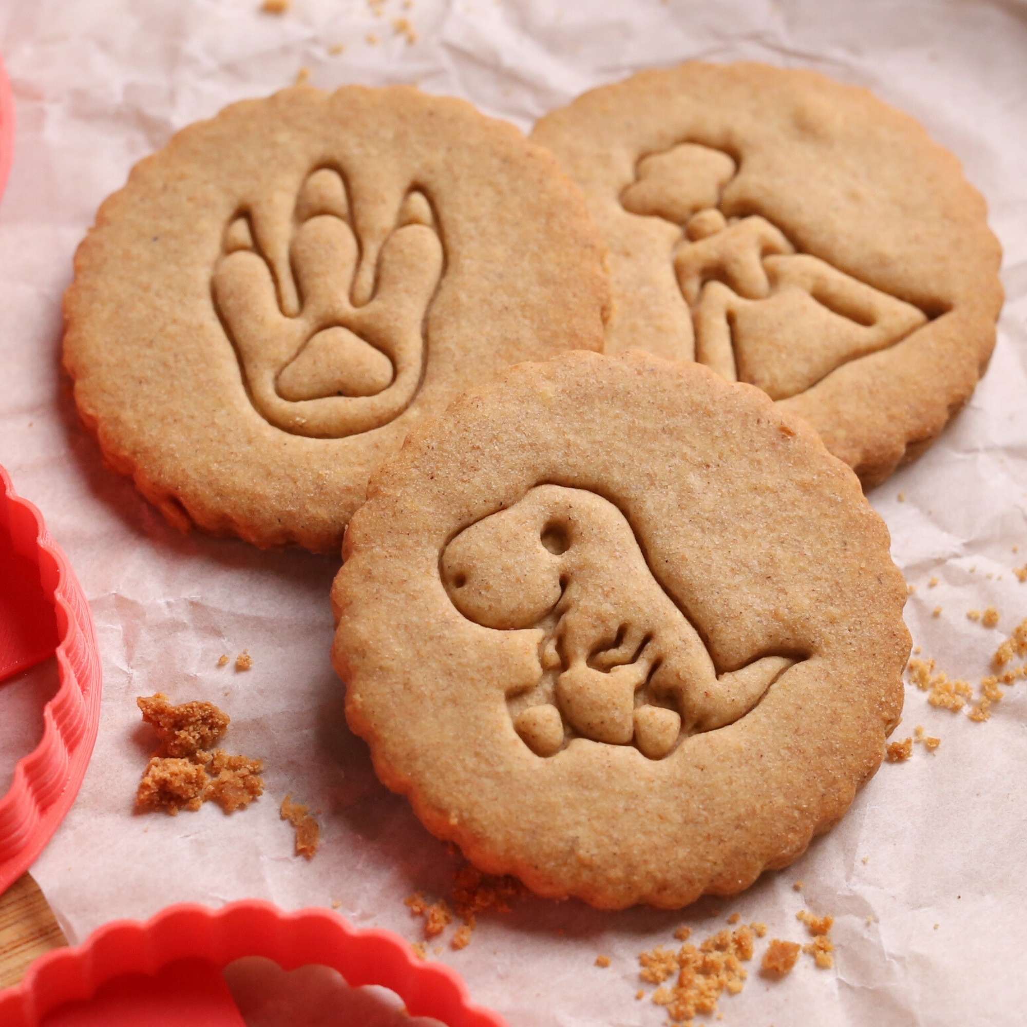 Kit Dinosaure - Tyrannosaure, Trace & Volcan 🦖