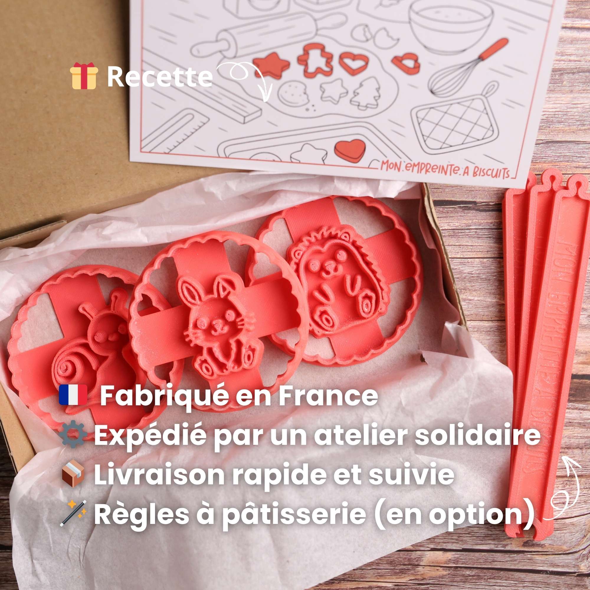 Kit Dinosaure - Triceratops, Volcan & Empreinte 🦕