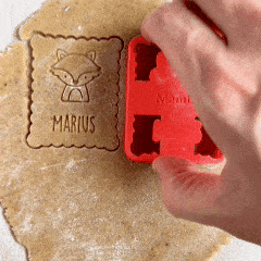 Les Animaux de la Forêt