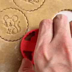 Kit Animaux - Souris, Poisson et Oiseau