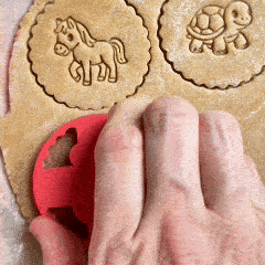 Kit Animaux : Cheval, Tortue et Hamster