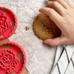 Kit Animaux de la Forêt – Ecureuil, Hibou & Raton Laveur 🦉